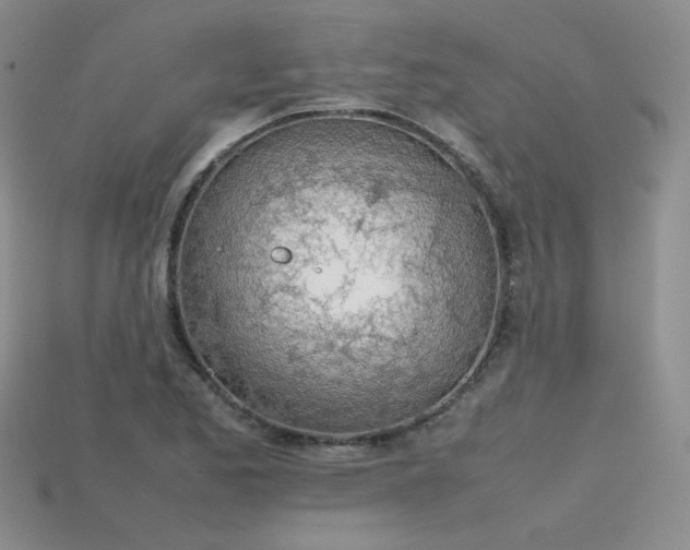 X0000115781173200911131241