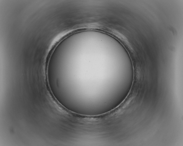 X0000115781176200911131241