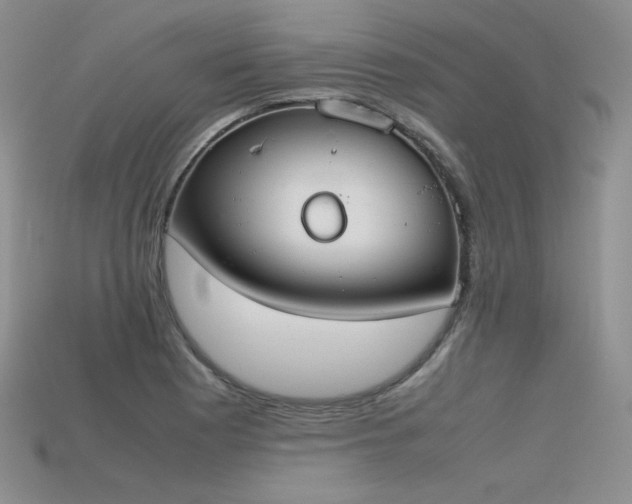 X0000115781177200911131241