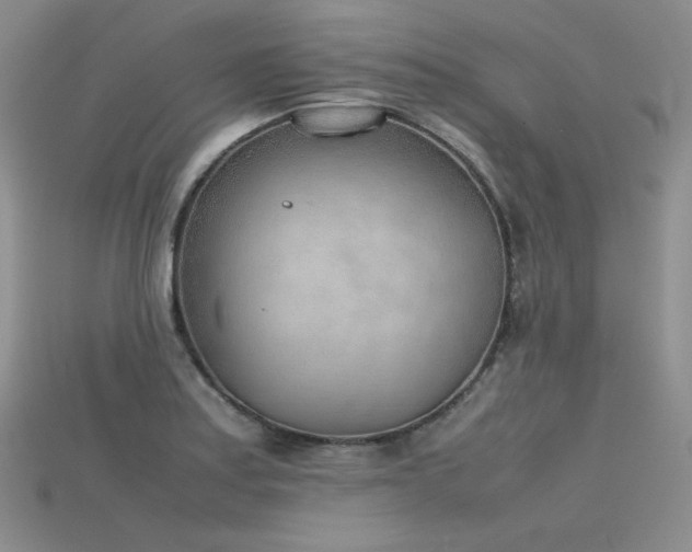 X0000115781179200911131241