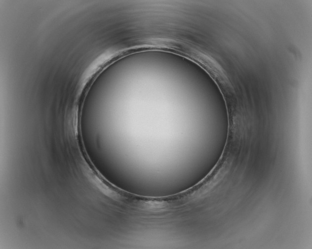 X0000115781180200911131241