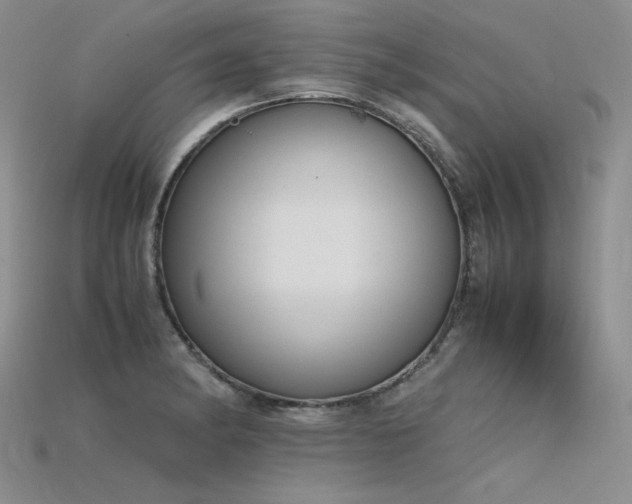 X0000115781182200911131241