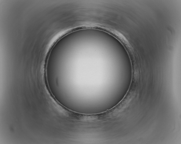 X0000115781183200911131241