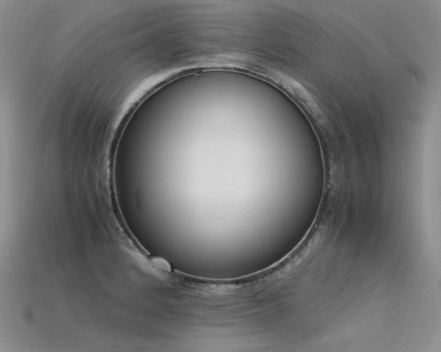 X0000115781184200911131241
