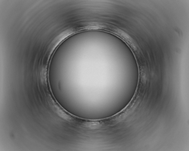 X0000115781186200911131241