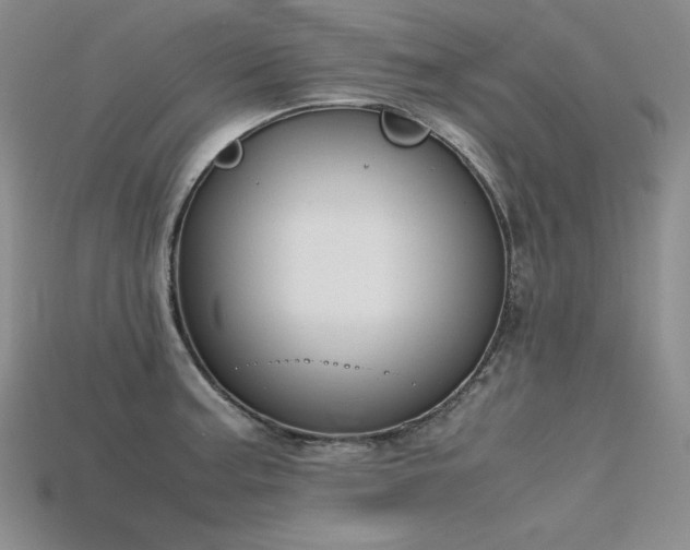 X0000115781187200911131241