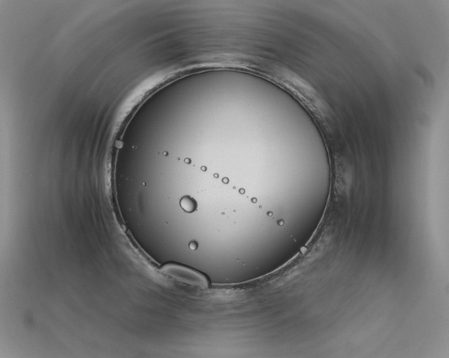 X0000115781188200911131241
