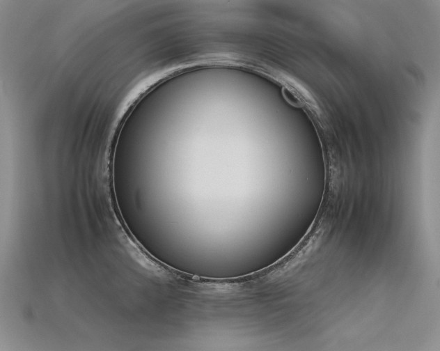 X0000115781192200911131241