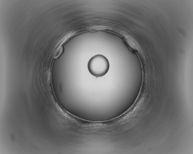 X0000115781193200911131241