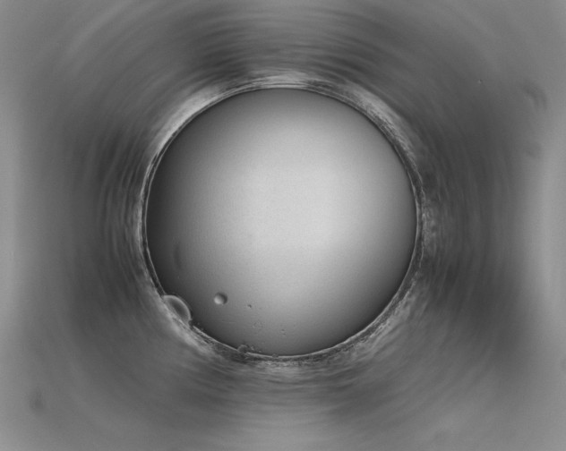 X0000115781194200911131241