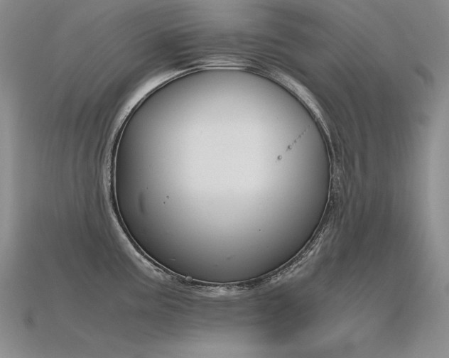 X0000115781195200911131241