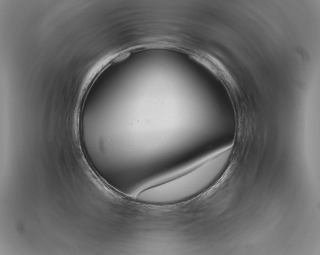 X0000115781196200911131241
