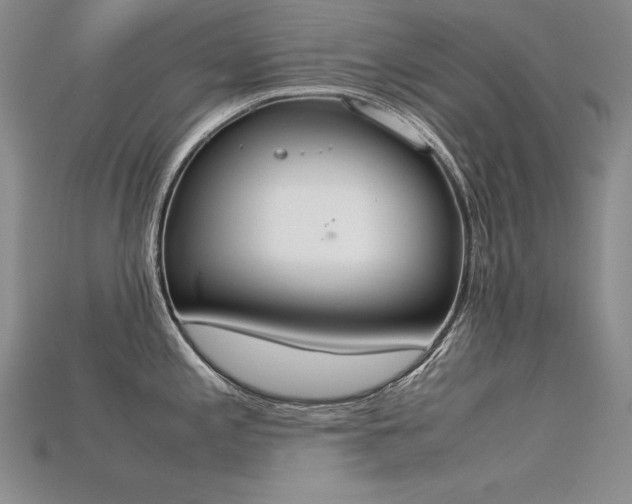 X0000115781197200911131241