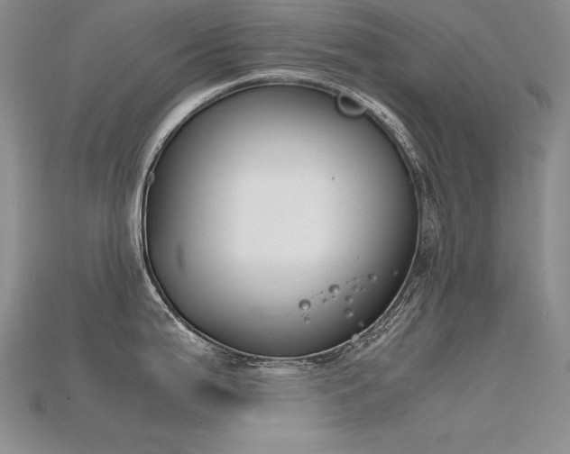 X0000115781199200911131241