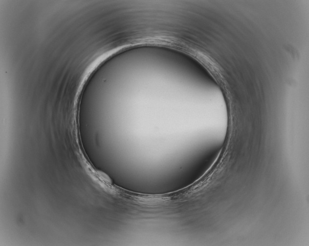 X0000115781200200911131241