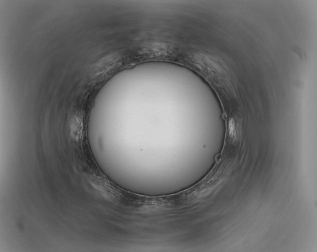 X0000115781203200911131240