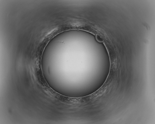 X0000115781205200911131240