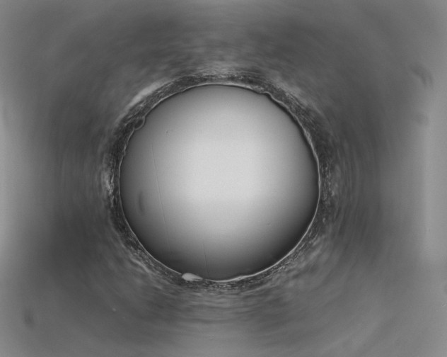X0000115781206200911131240