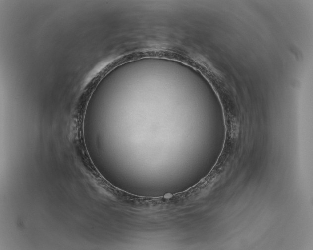 X0000115781208200911131240