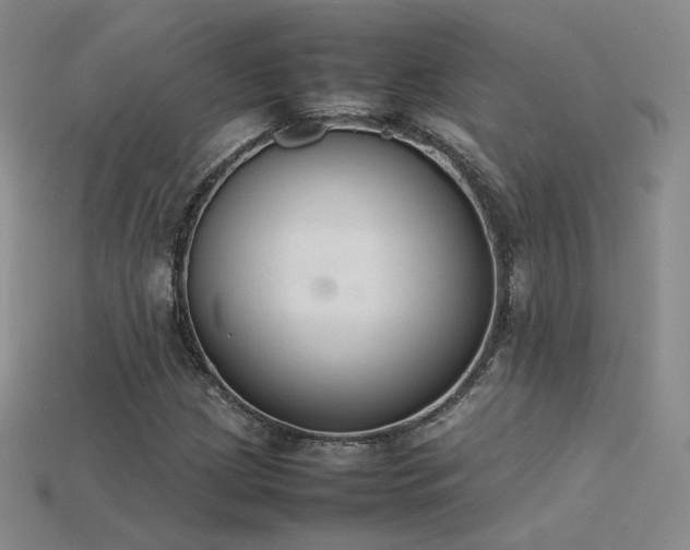X0000115781209200911131240