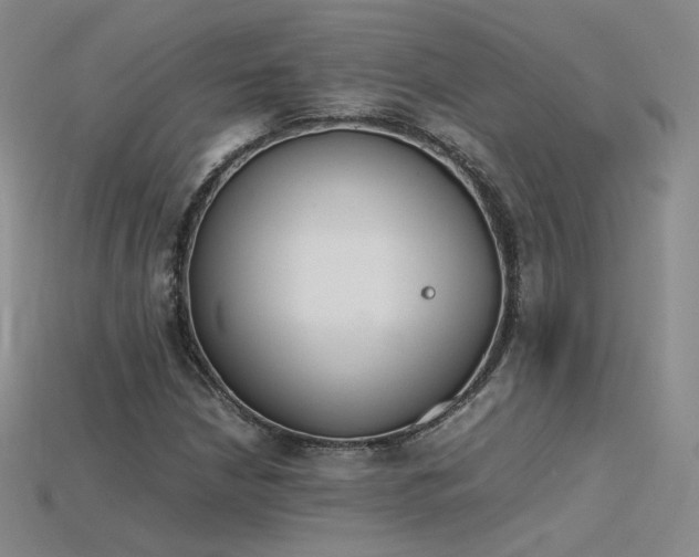 X0000115781210200911131240