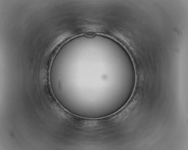 X0000115781211200911131240