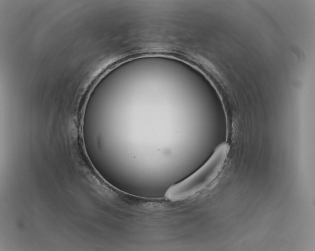 X0000115781212200911131240