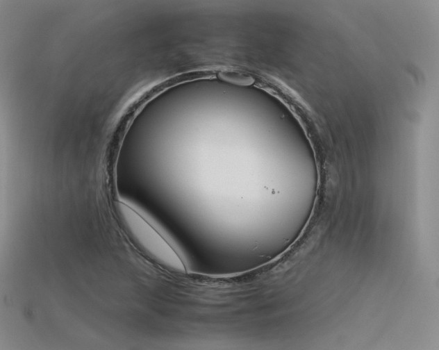 X0000115781215200911131240