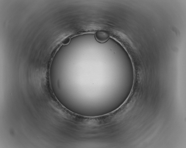 X0000115781217200911131240