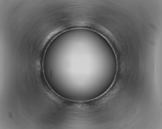 X0000115781218200911131240