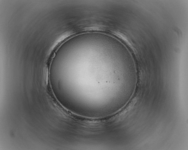 X0000115781219200911131240