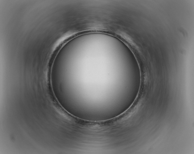 X0000115781222200911131240