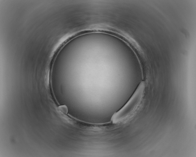 X0000115781224200911131240
