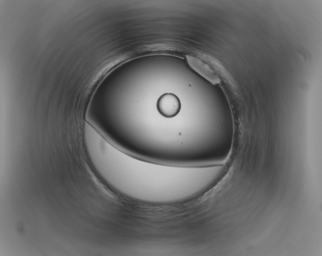 X0000115781225200911131240