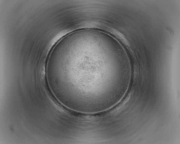 X0000115781226200911131240