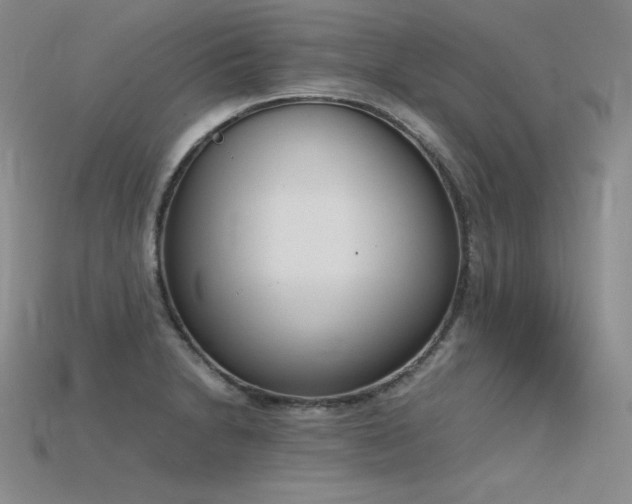 X0000115781230200911131240