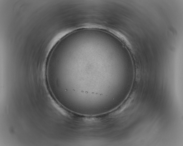 X0000115781231200911131240