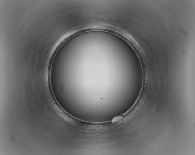 X0000115781232200911131240