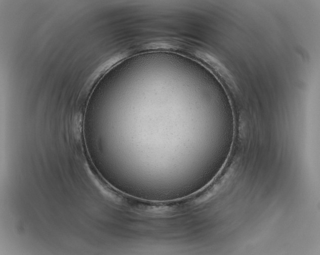 X0000115781233200911131240