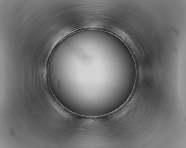 X0000115781234200911131240
