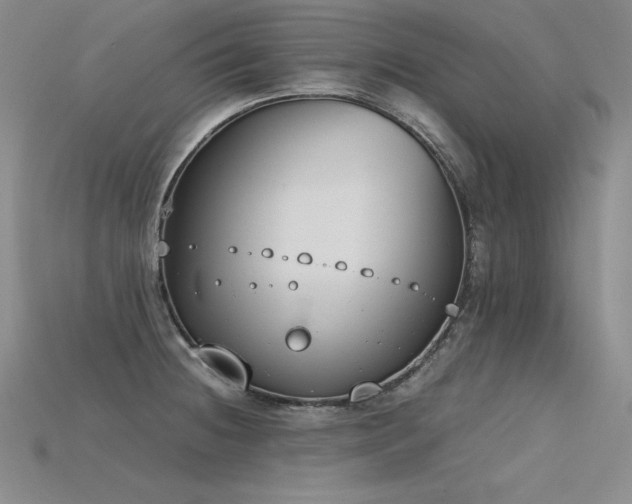 X0000115781236200911131240