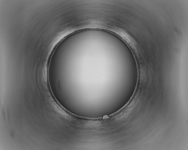 X0000115781238200911131240