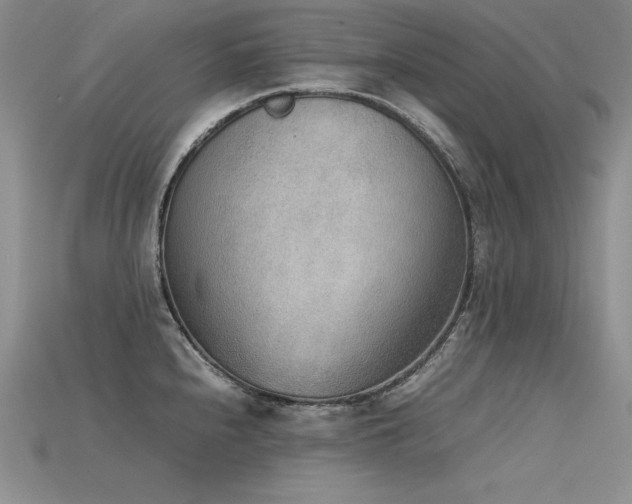 X0000115781240200911131240