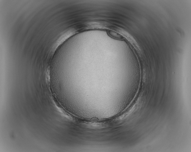 X0000115781241200911131240