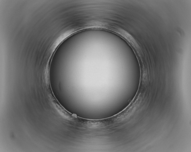 X0000115781242200911131240