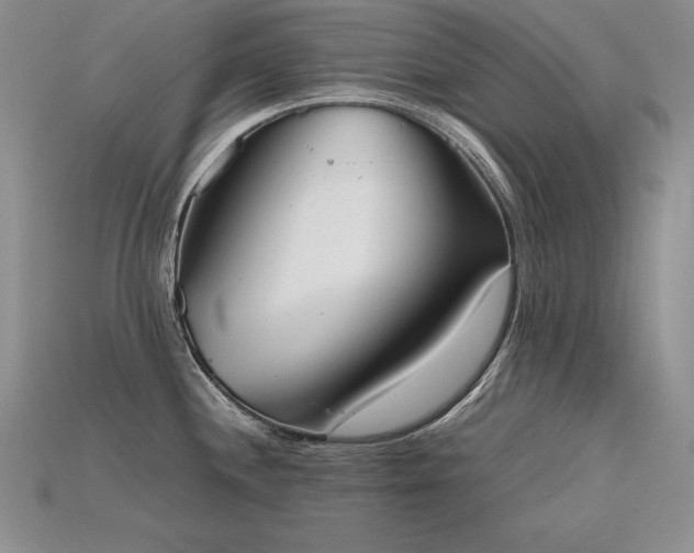 X0000115781244200911131241