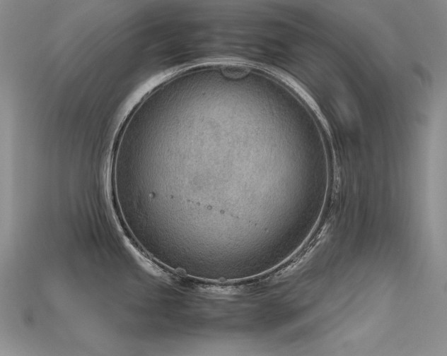 X0000115781245200911131241
