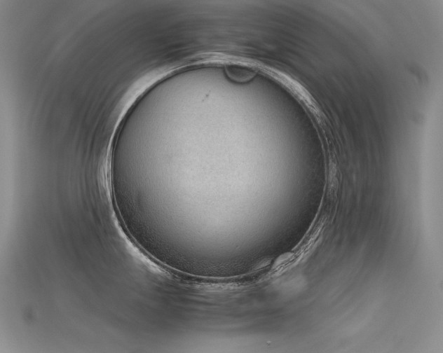 X0000115781247200911131241