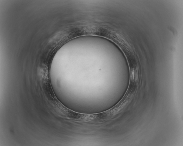 X0000115781251200911131240