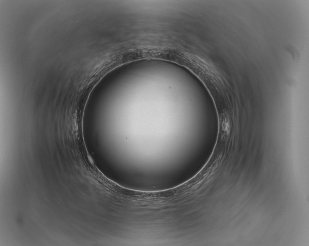 X0000115781252200911131240